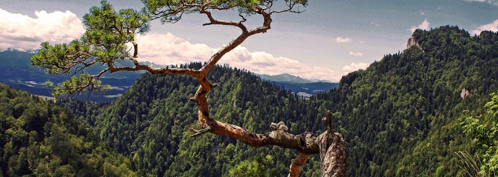  A może czas wyruszyć w Pieniny? Zapraszamy na Zielone Szkoły z przygodą w Pieninach :) 