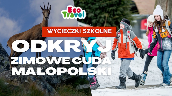Odkryj Zimowe Cuda Małopolski: Jednodniowe Wycieczki Szkolne z Krakowa